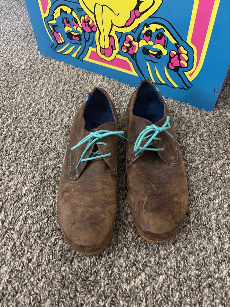 John Fluevog Cbc Radio Derby Oxford Shoes In Brown Leather With Turquoise Laces